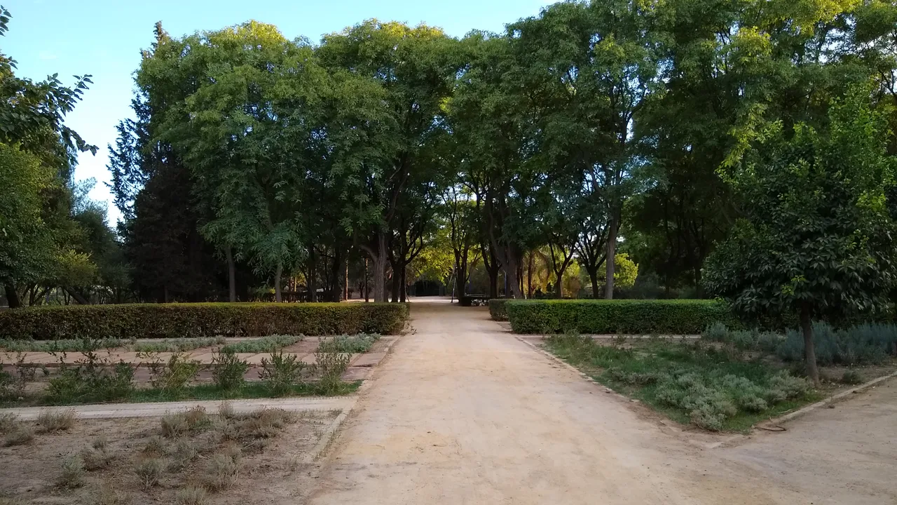 Auditorio Cartuja