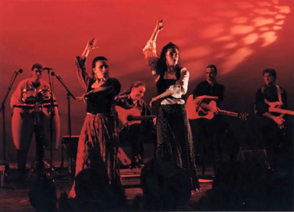 Shows y música